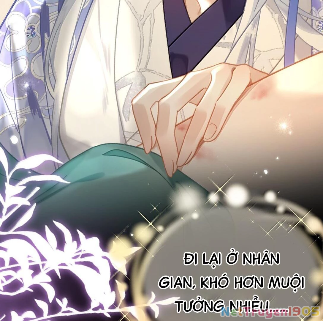 Đông Hải Tìm Mỹ Nhân Chapter 24 - Trang 12