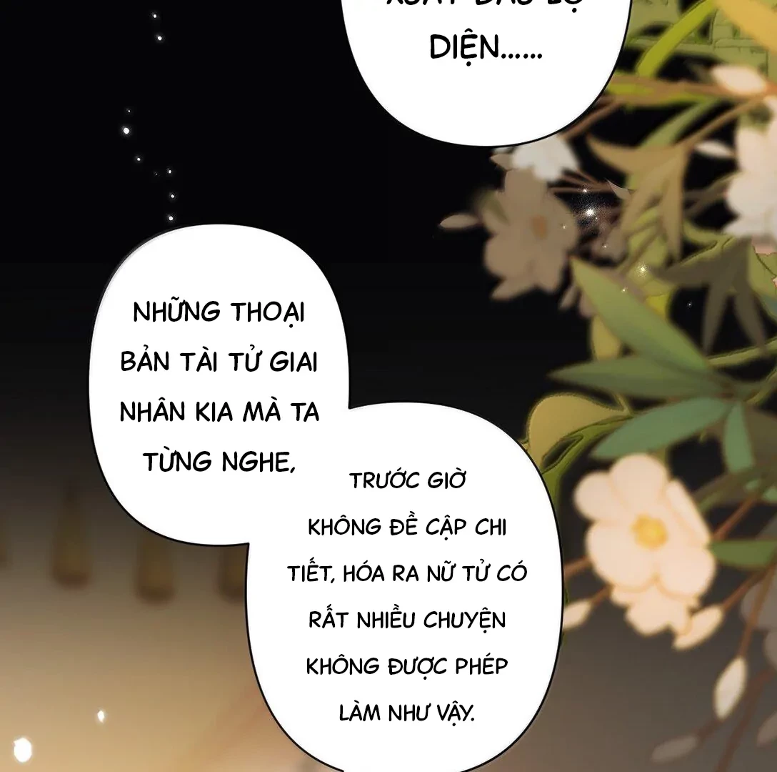 Đông Hải Tìm Mỹ Nhân Chapter 24 - Trang 24