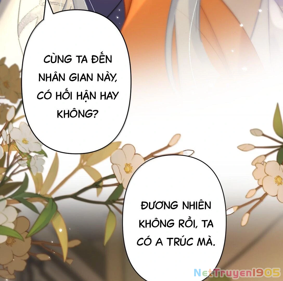Đông Hải Tìm Mỹ Nhân Chapter 24 - Trang 31