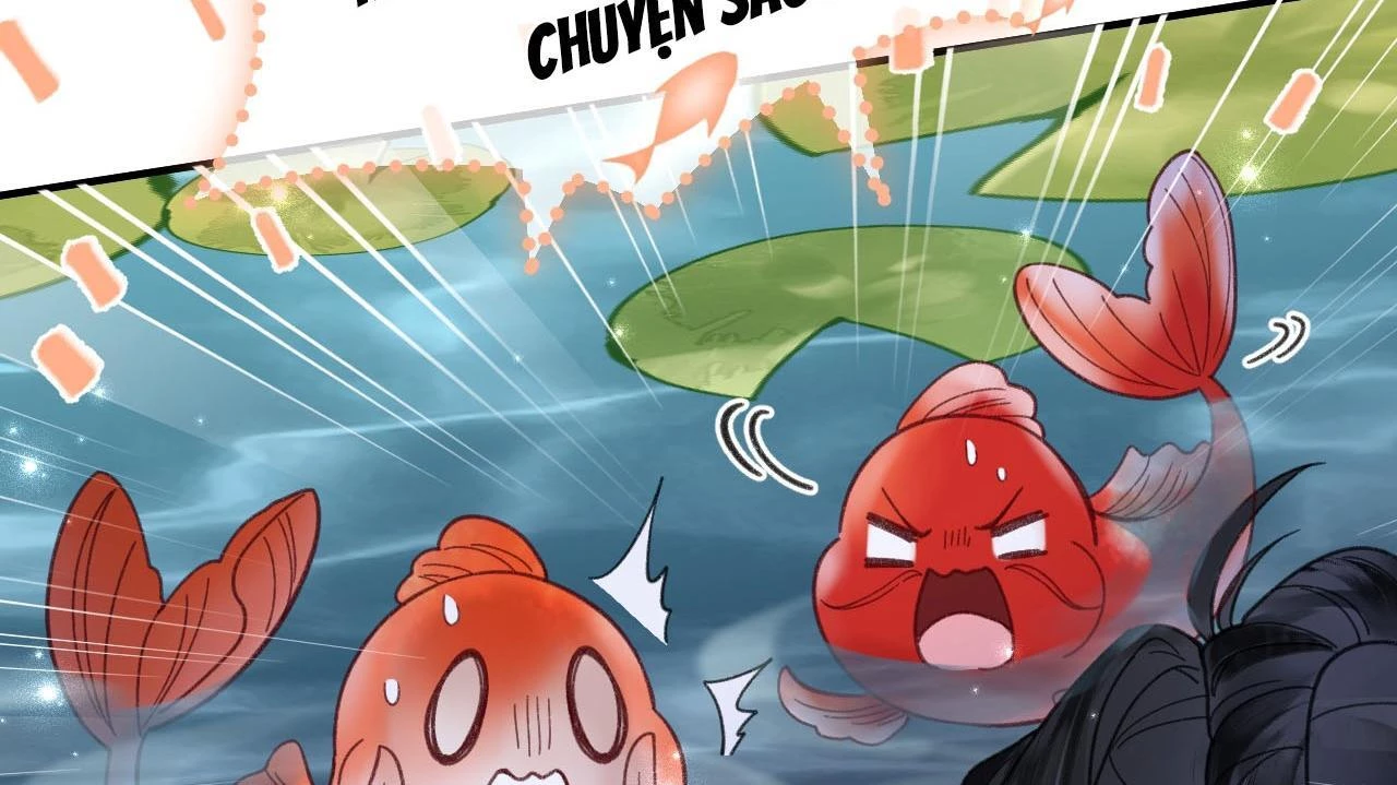 Đông Hải Tìm Mỹ Nhân Chapter 26 - Trang 39
