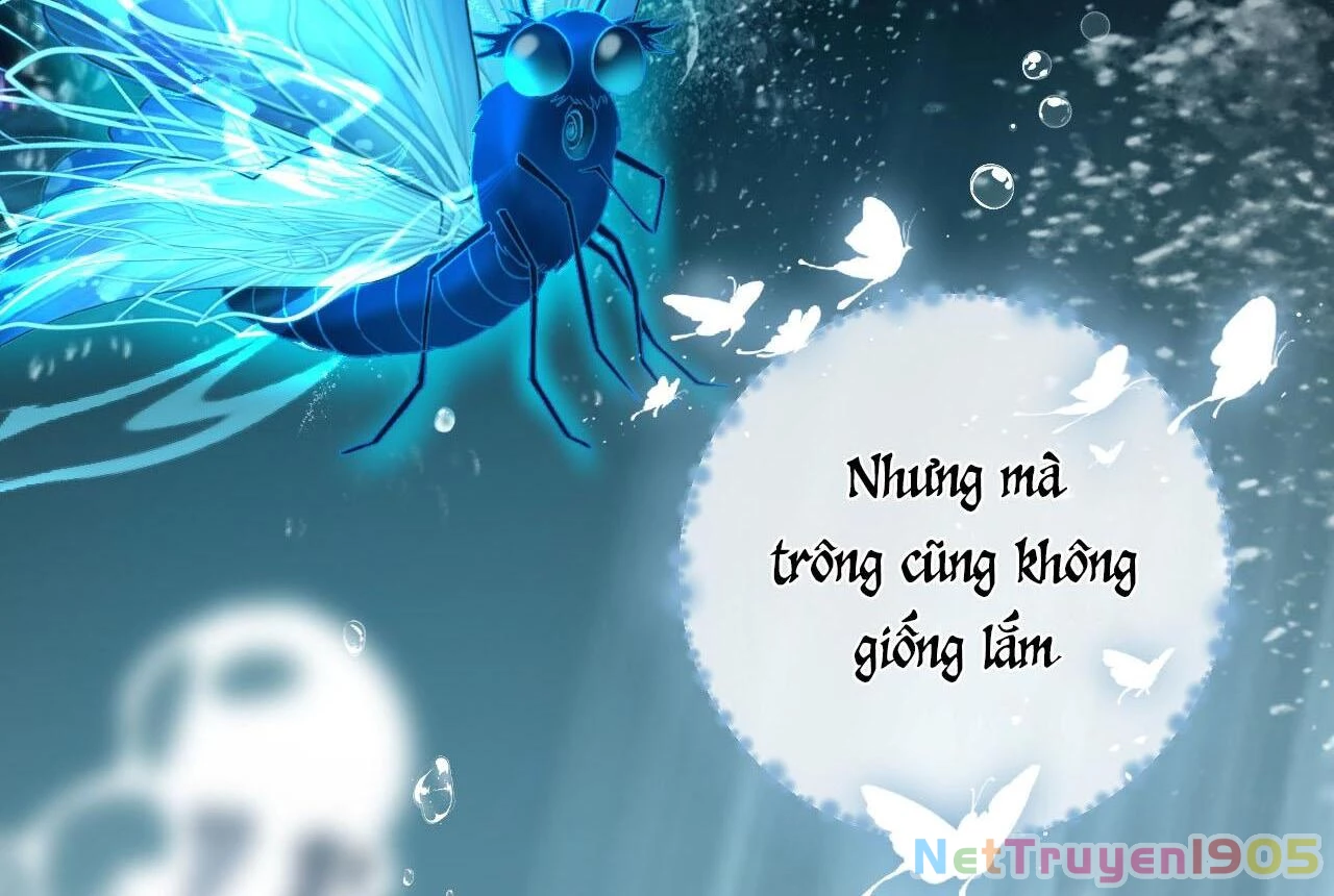 Đông Hải Tìm Mỹ Nhân Chapter 27 - Trang 34