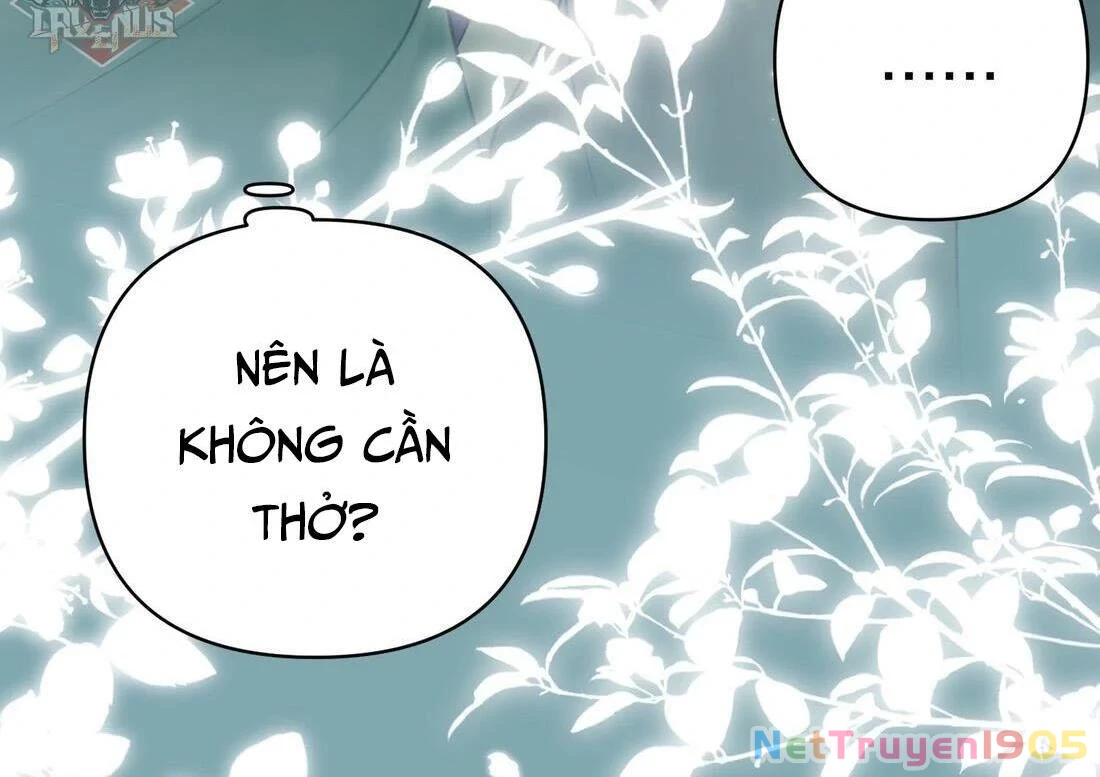 Đông Hải Tìm Mỹ Nhân Chapter 3 - Trang 24