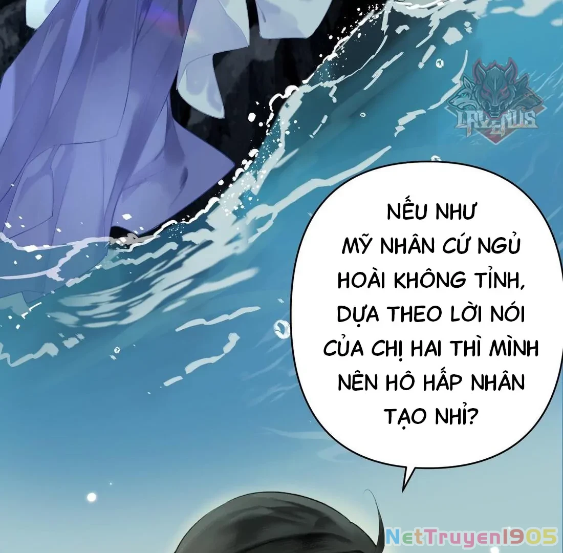 Đông Hải Tìm Mỹ Nhân Chapter 3 - Trang 4