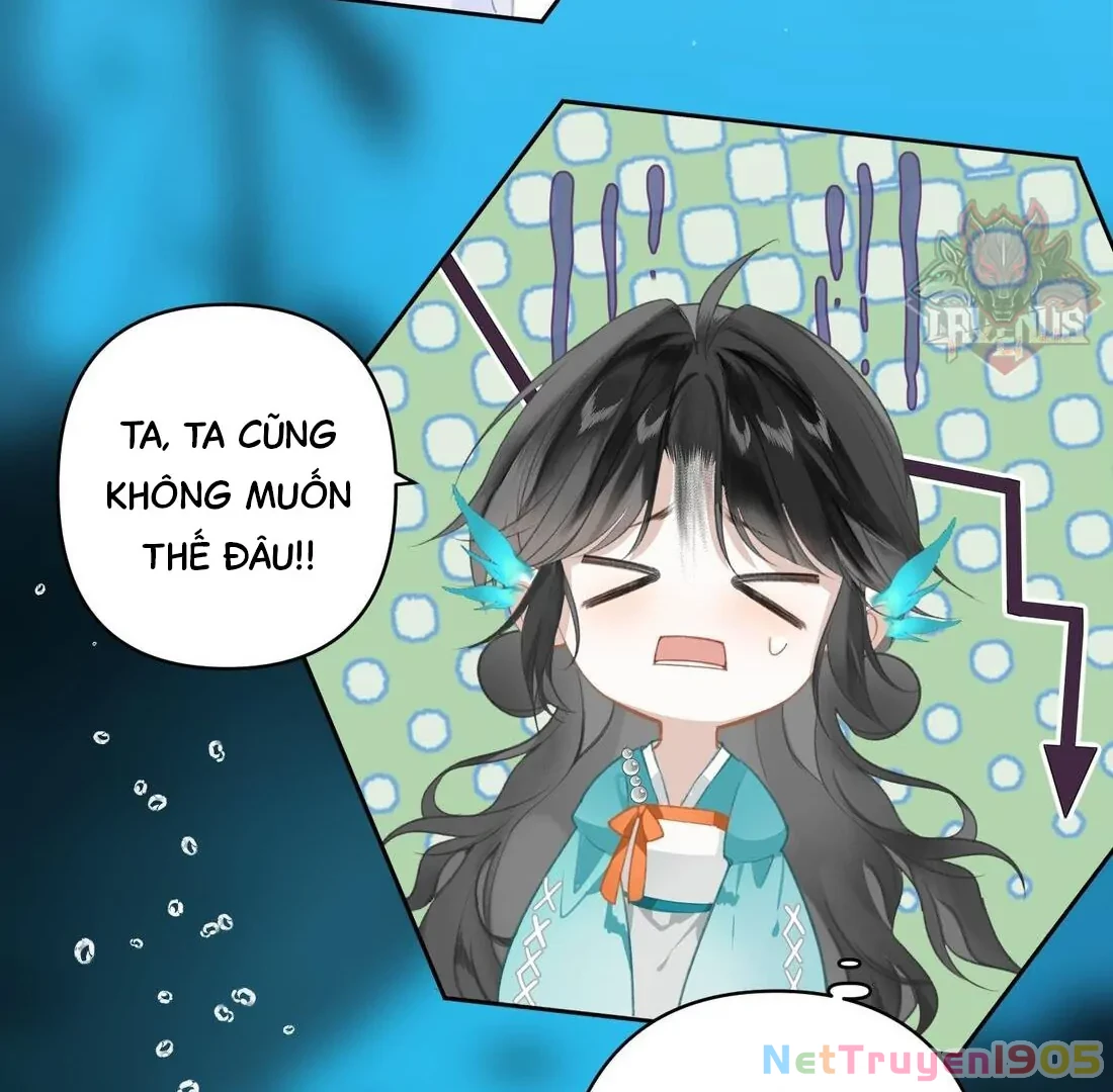 Đông Hải Tìm Mỹ Nhân Chapter 3 - Trang 41