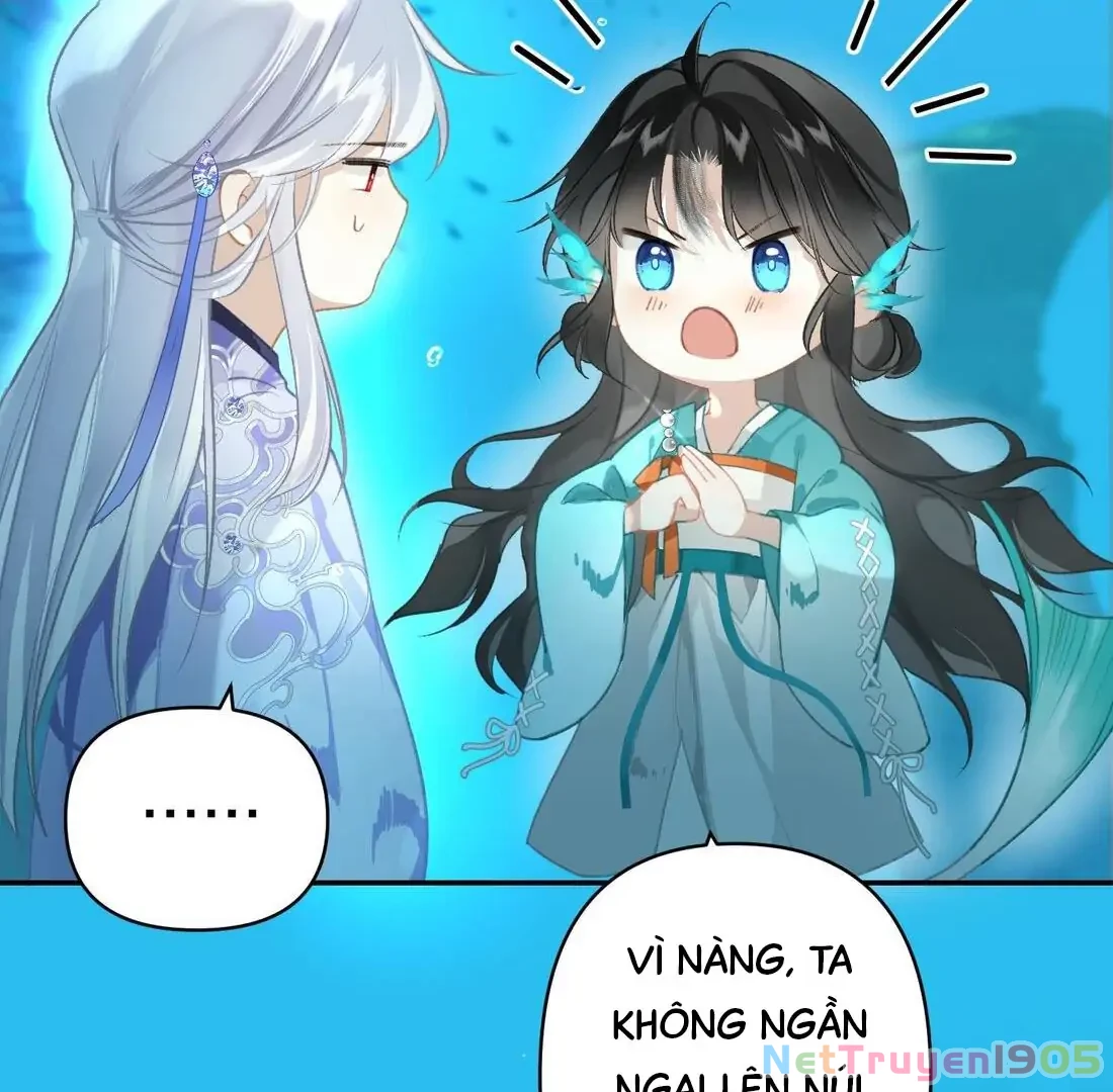 Đông Hải Tìm Mỹ Nhân Chapter 3 - Trang 44