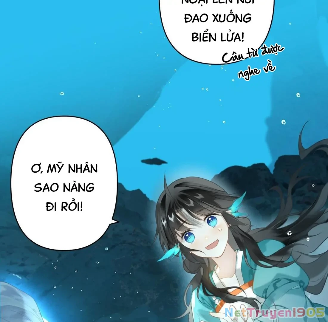 Đông Hải Tìm Mỹ Nhân Chapter 3 - Trang 45