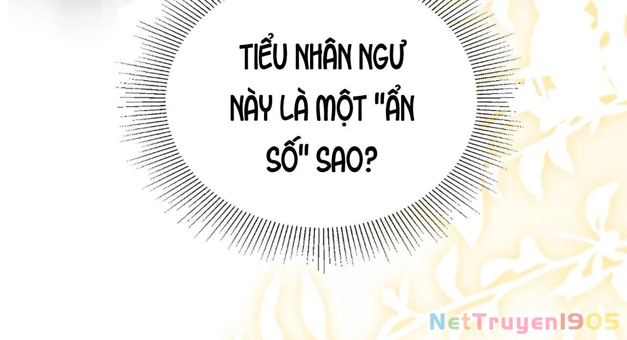 Đông Hải Tìm Mỹ Nhân Chapter 33 - Trang 18