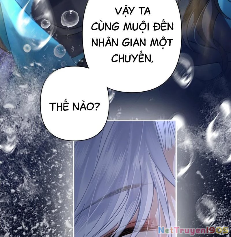Đông Hải Tìm Mỹ Nhân Chapter 36 - Trang 5