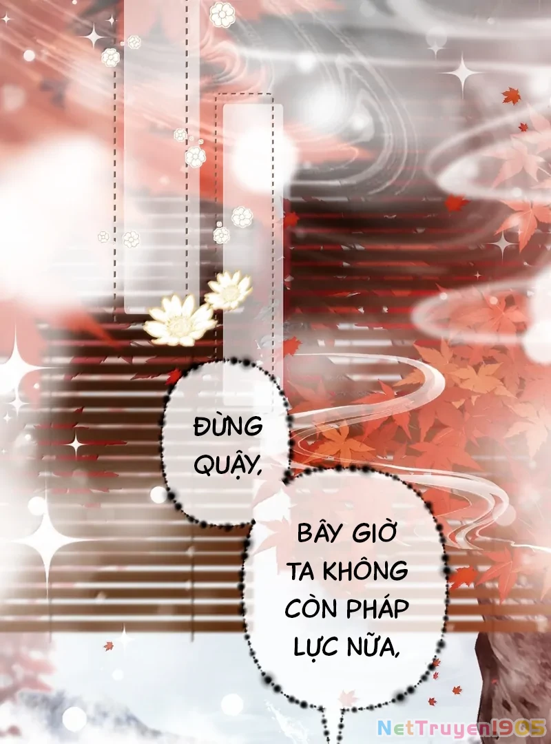 Đông Hải Tìm Mỹ Nhân Chapter 36 - Trang 7