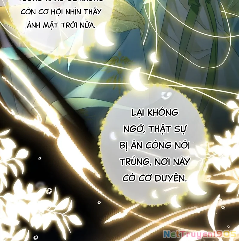 Đông Hải Tìm Mỹ Nhân Chapter 37 - Trang 11