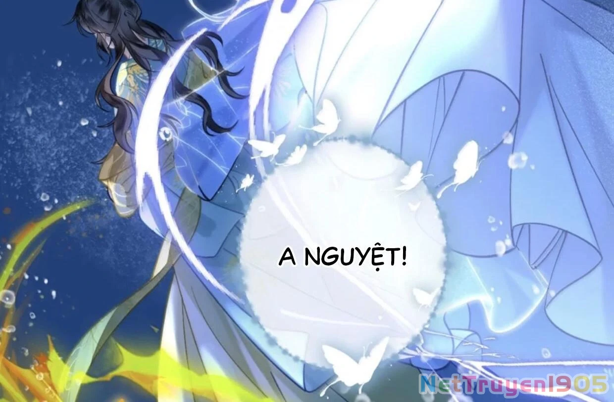 Đông Hải Tìm Mỹ Nhân Chapter 38 - Trang 17