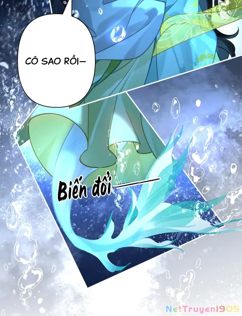 Đông Hải Tìm Mỹ Nhân Chapter 39 - Trang 19