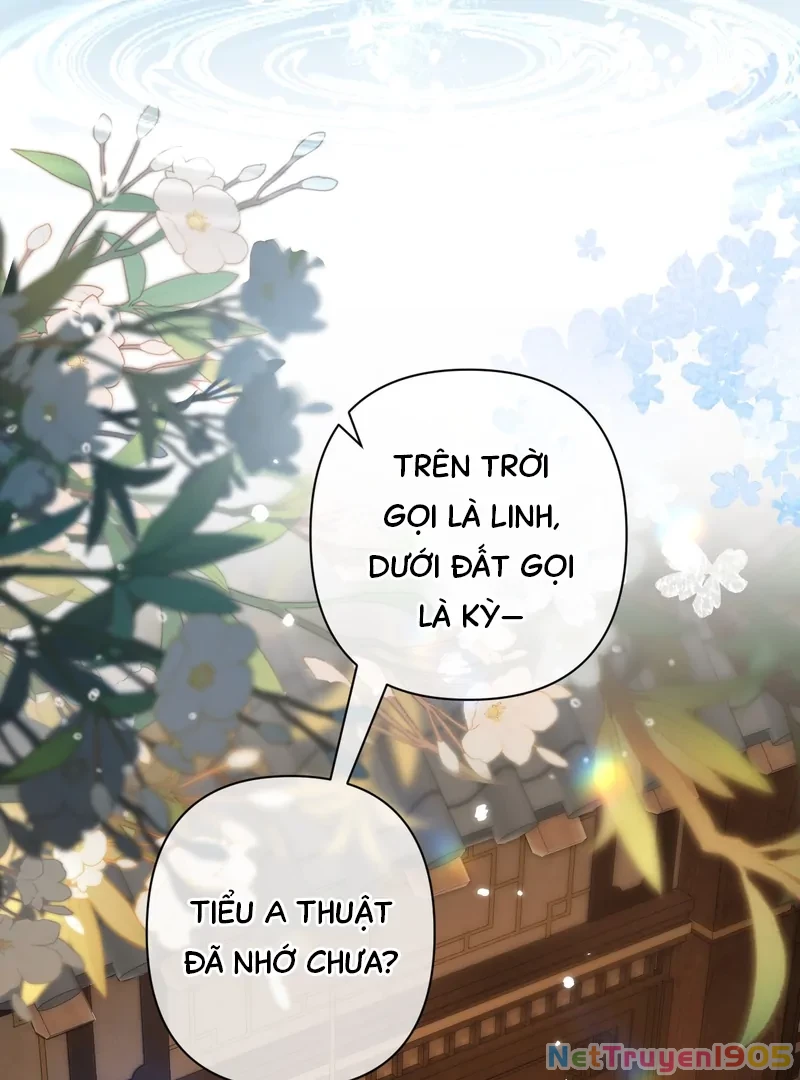 Đông Hải Tìm Mỹ Nhân Chapter 39 - Trang 40