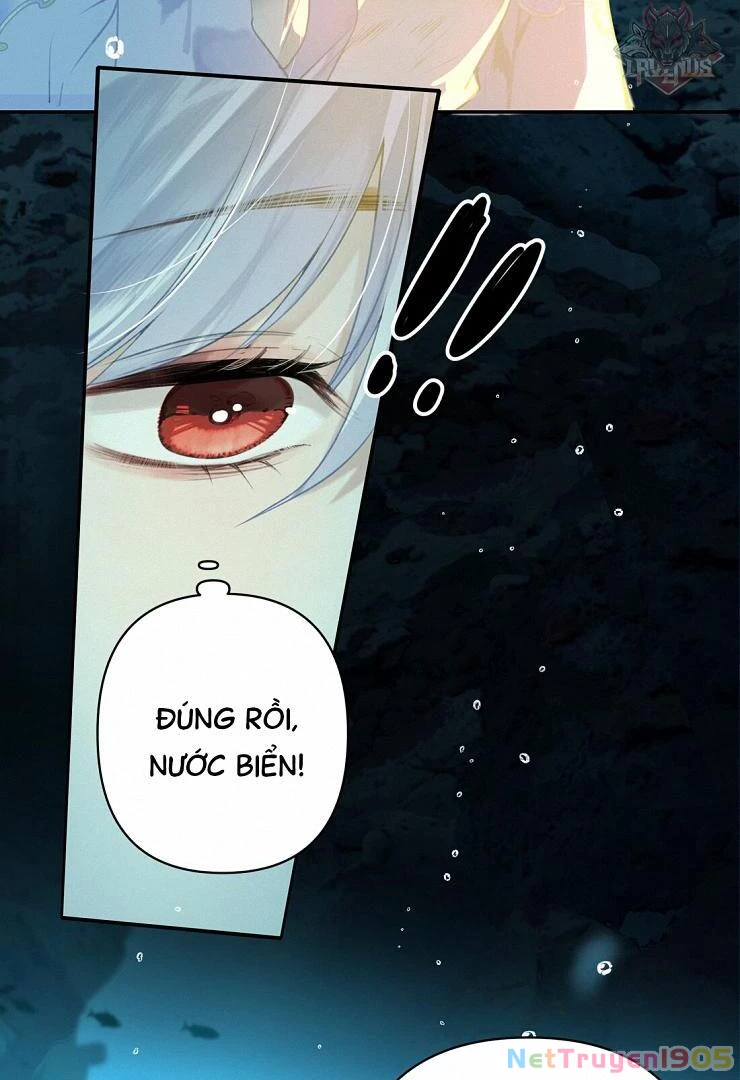 Đông Hải Tìm Mỹ Nhân Chapter 4 - Trang 20