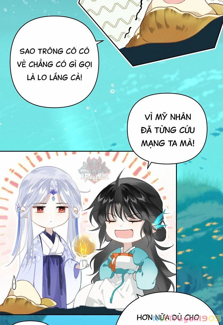 Đông Hải Tìm Mỹ Nhân Chapter 4 - Trang 4