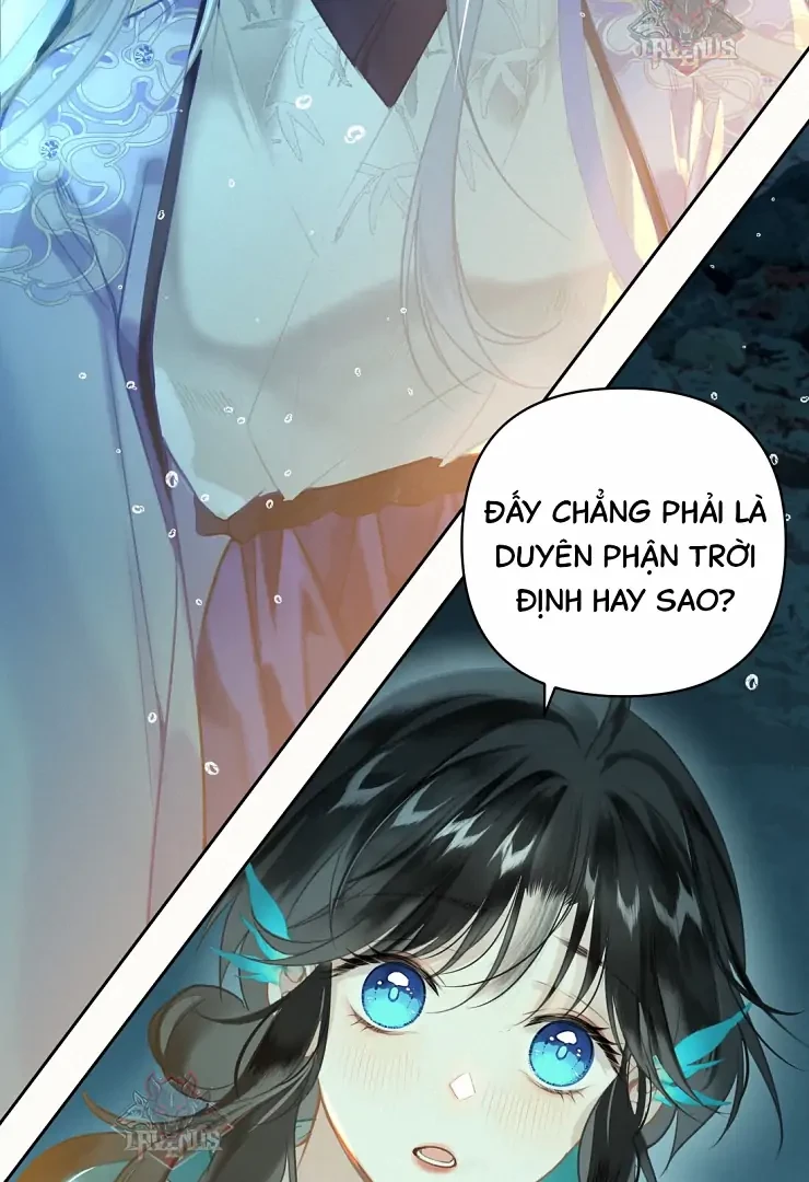 Đông Hải Tìm Mỹ Nhân Chapter 4 - Trang 9