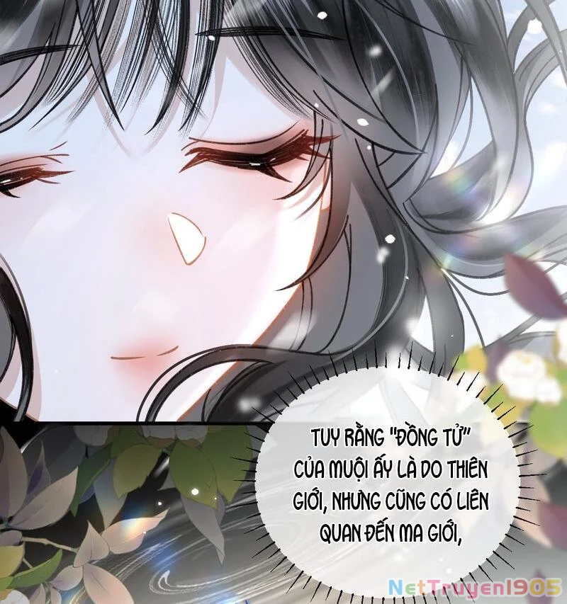 Đông Hải Tìm Mỹ Nhân Chapter 40 - Trang 30