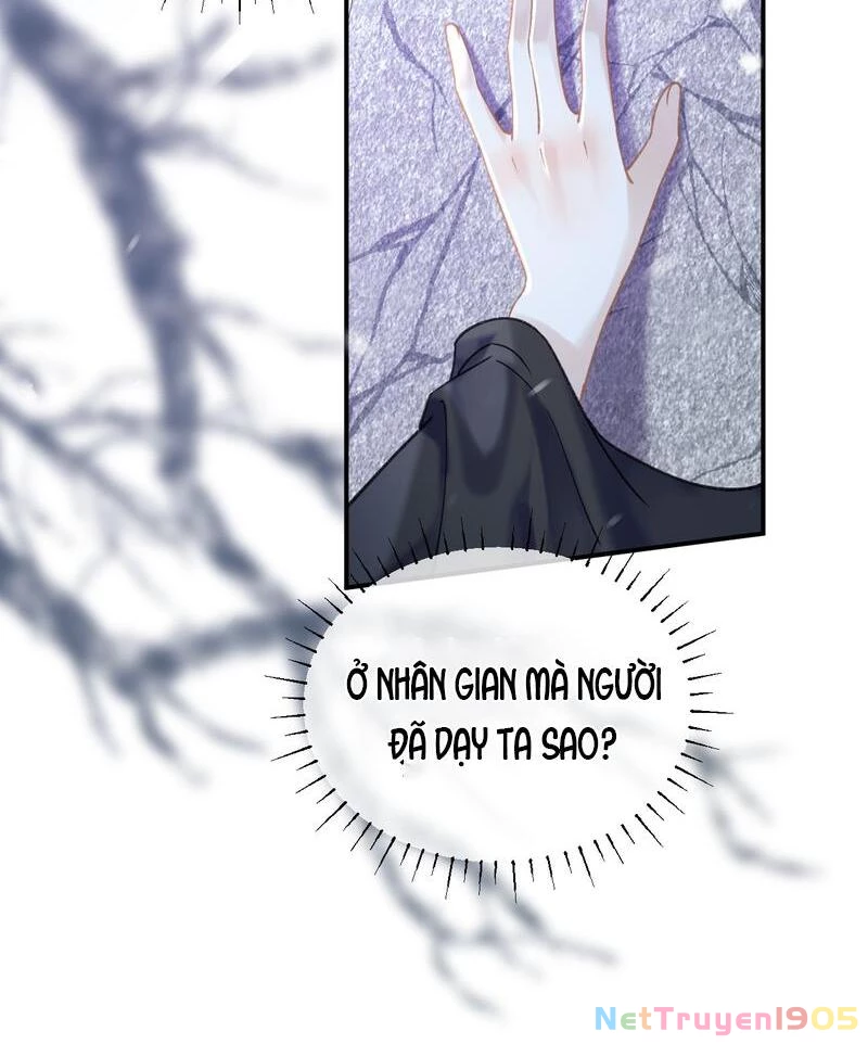 Đông Hải Tìm Mỹ Nhân Chapter 40 - Trang 50
