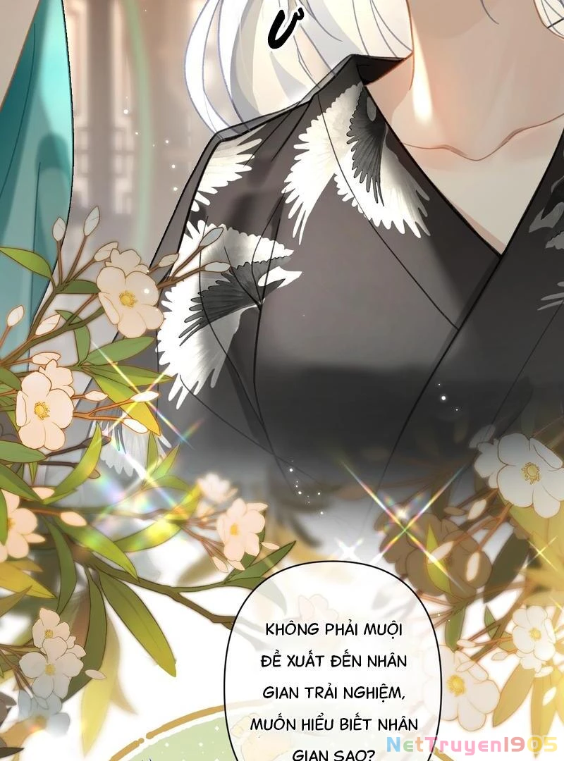 Đông Hải Tìm Mỹ Nhân Chapter 40 - Trang 9