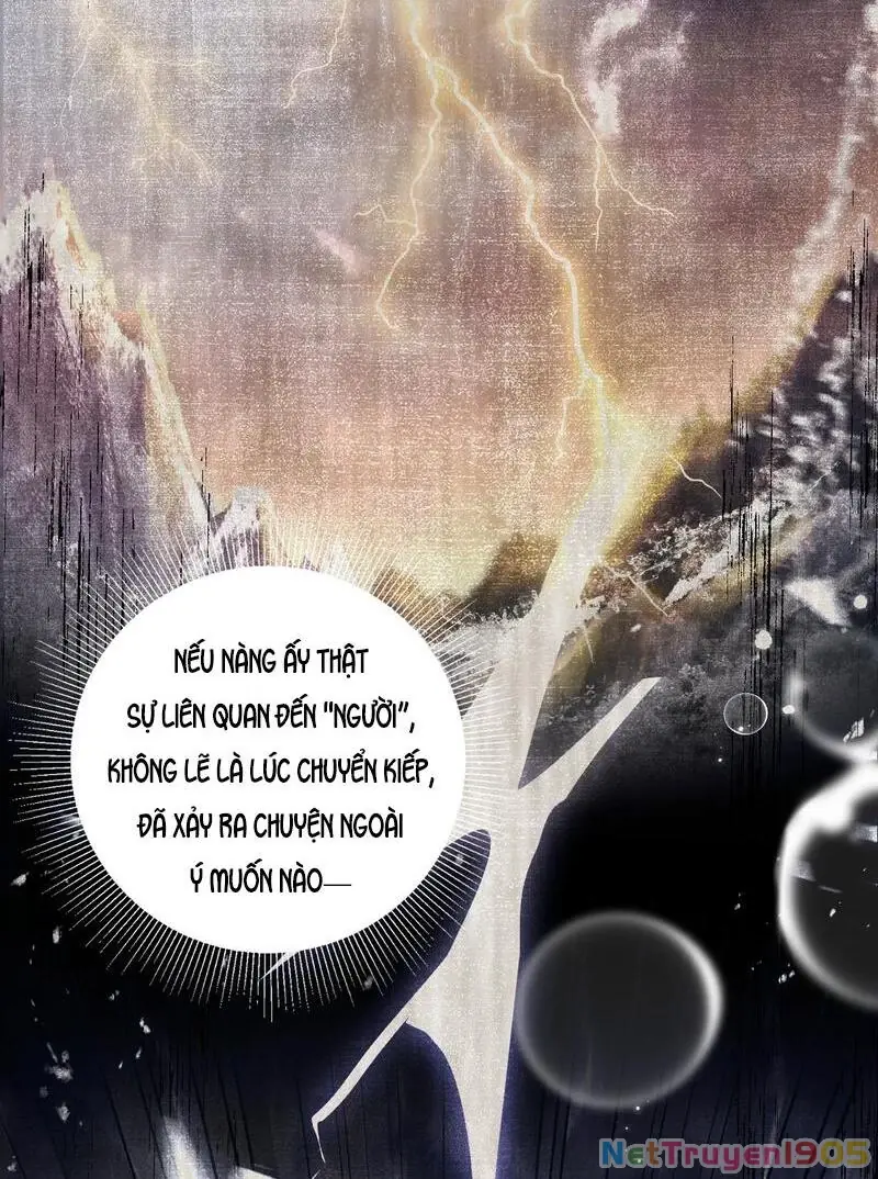 Đông Hải Tìm Mỹ Nhân Chapter 41 - Trang 19
