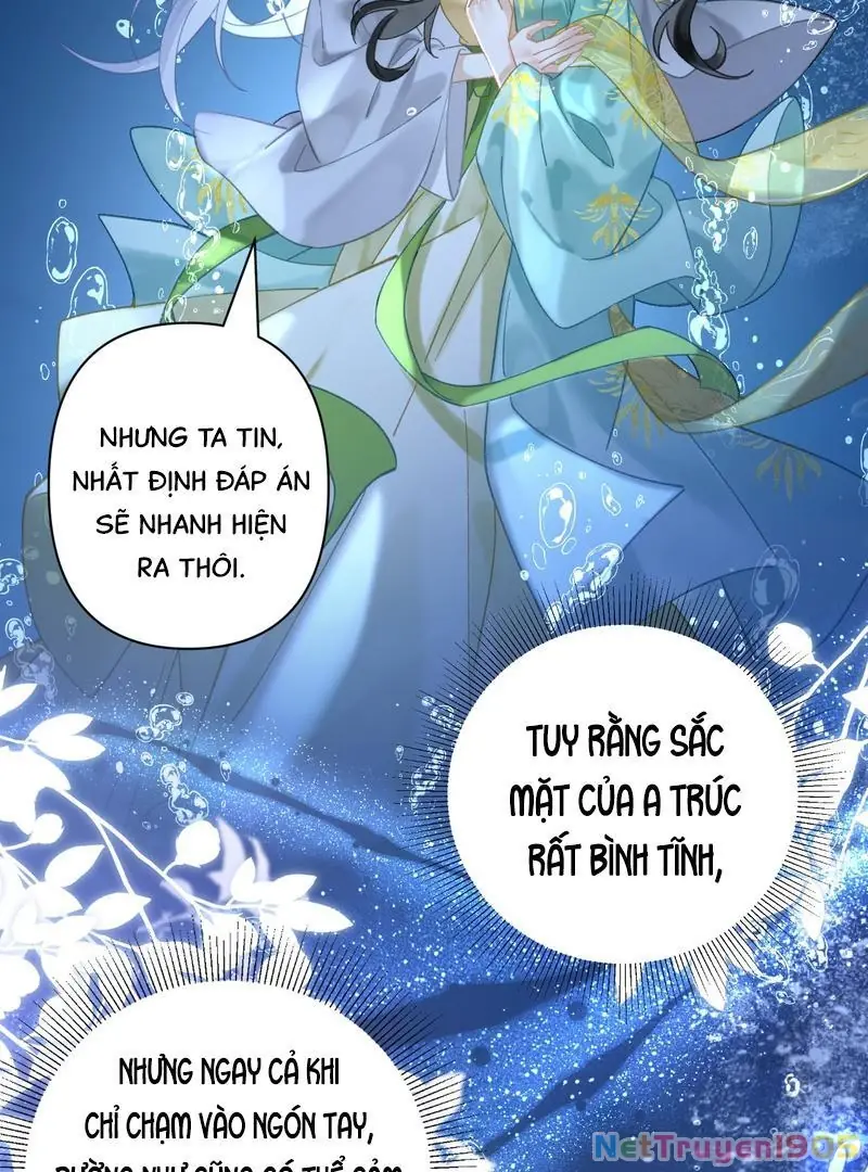 Đông Hải Tìm Mỹ Nhân Chapter 41 - Trang 22