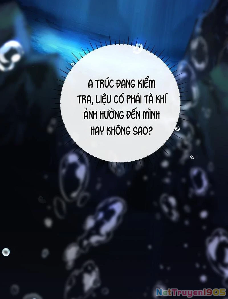 Đông Hải Tìm Mỹ Nhân Chapter 41 - Trang 8