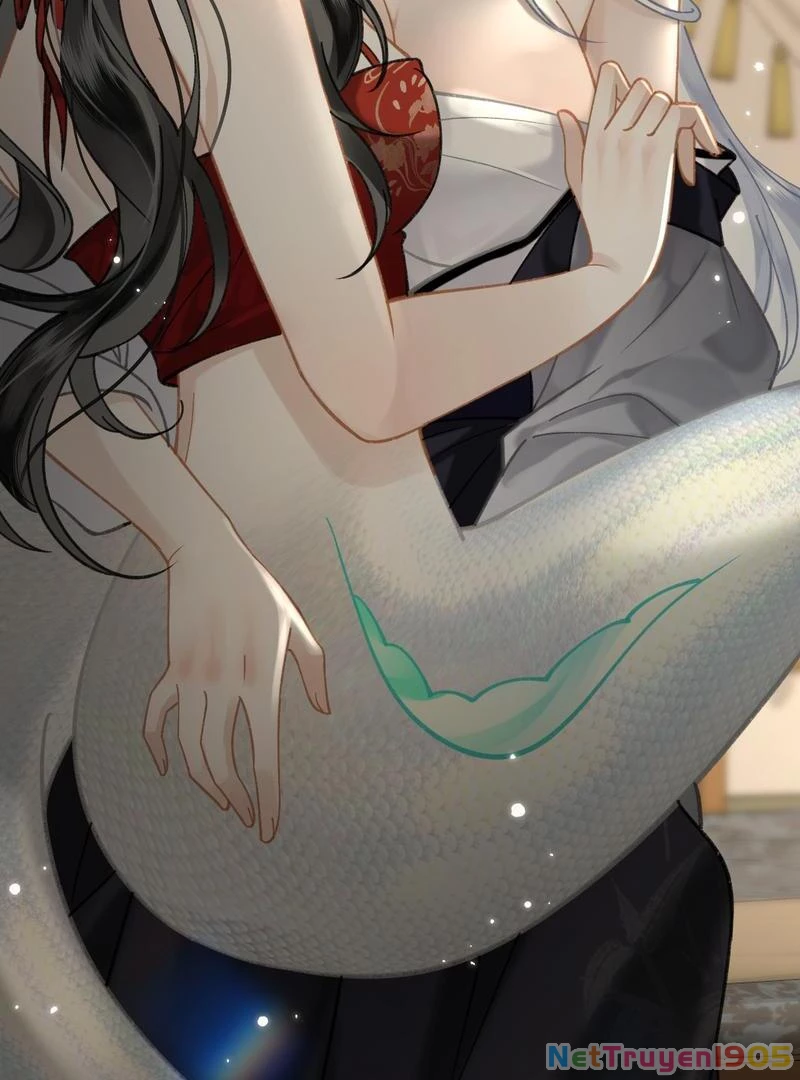 Đông Hải Tìm Mỹ Nhân Chapter 43 - Trang 8