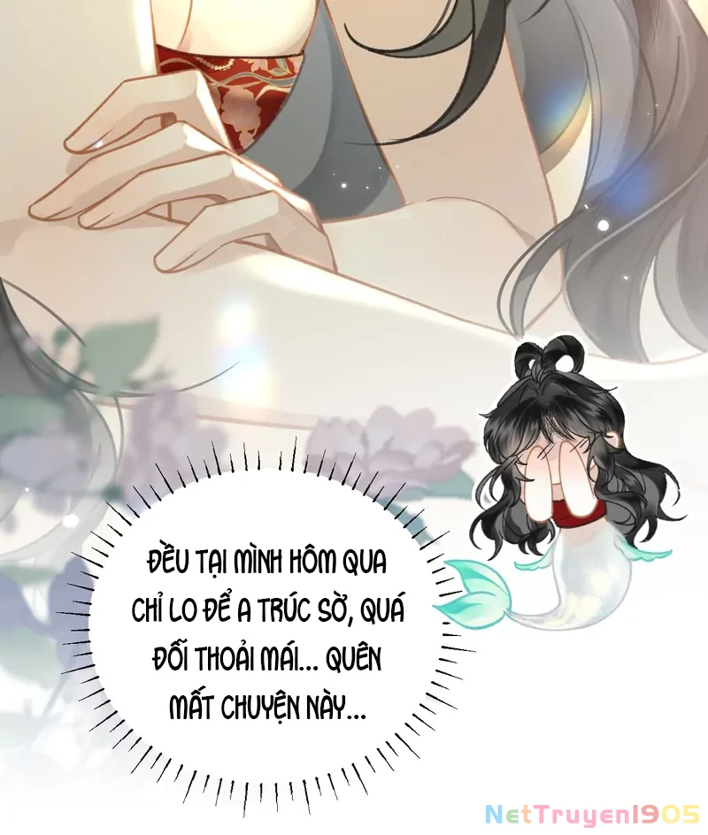 Đông Hải Tìm Mỹ Nhân Chapter 44 - Trang 12