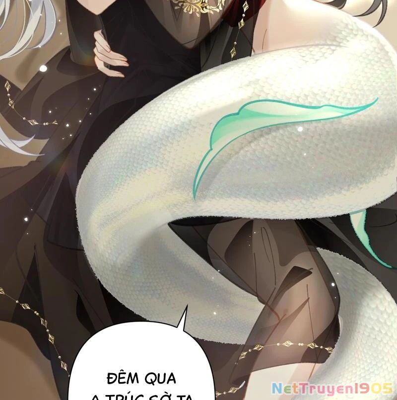 Đông Hải Tìm Mỹ Nhân Chapter 44 - Trang 6