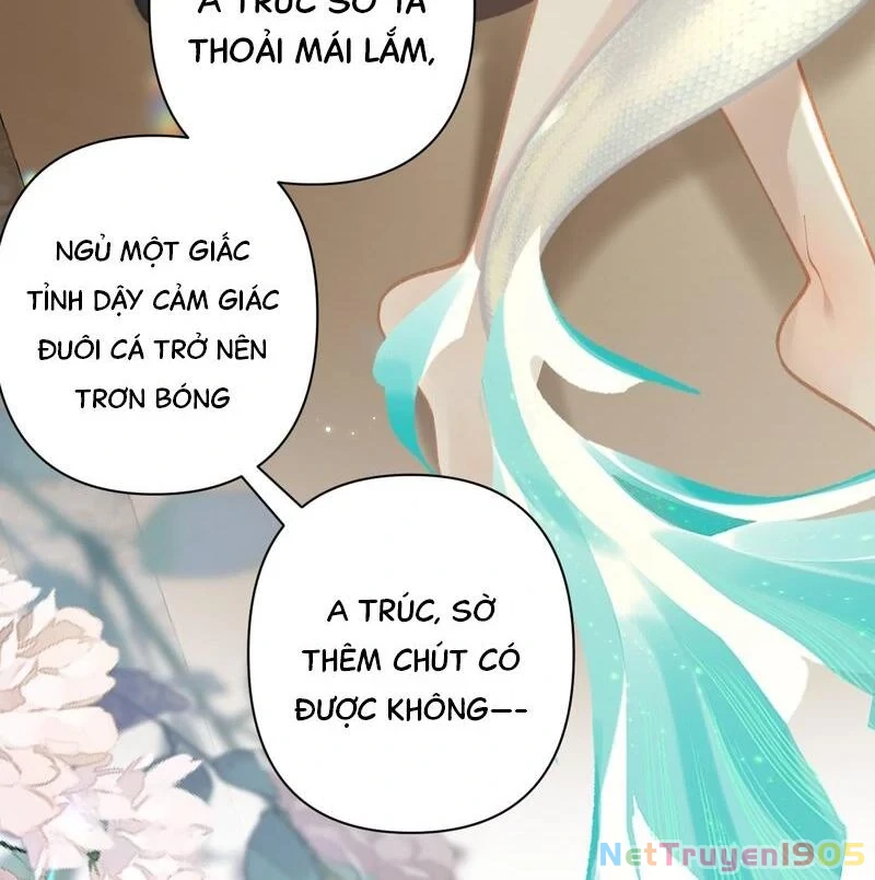 Đông Hải Tìm Mỹ Nhân Chapter 44 - Trang 7