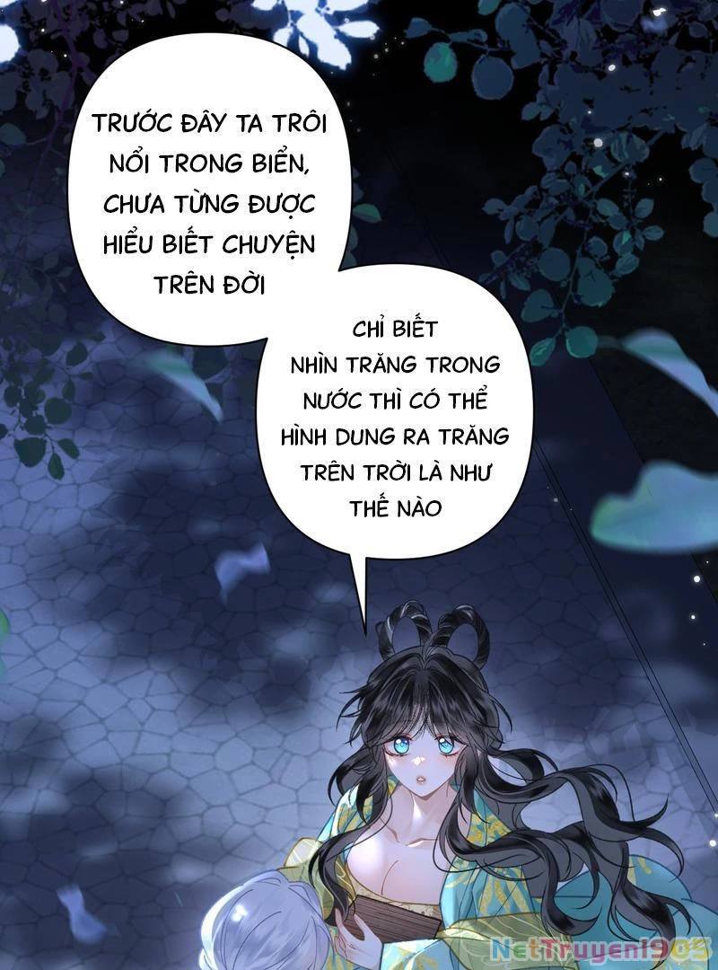 Đông Hải Tìm Mỹ Nhân Chapter 45 - Trang 28