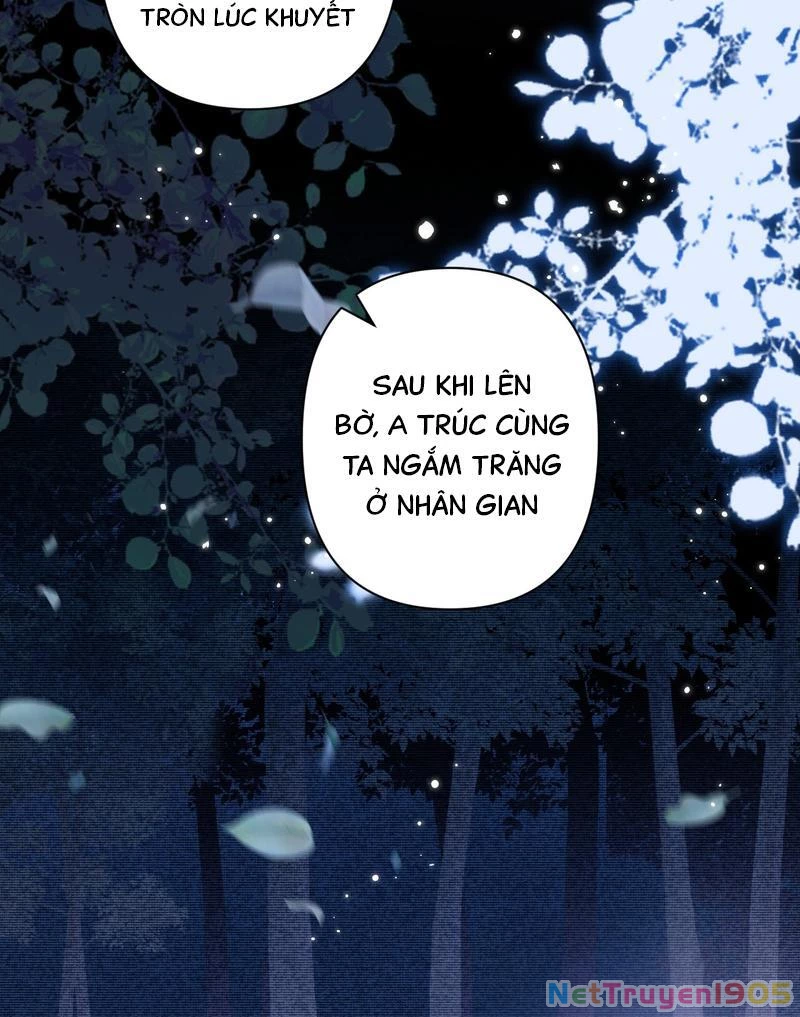 Đông Hải Tìm Mỹ Nhân Chapter 45 - Trang 30