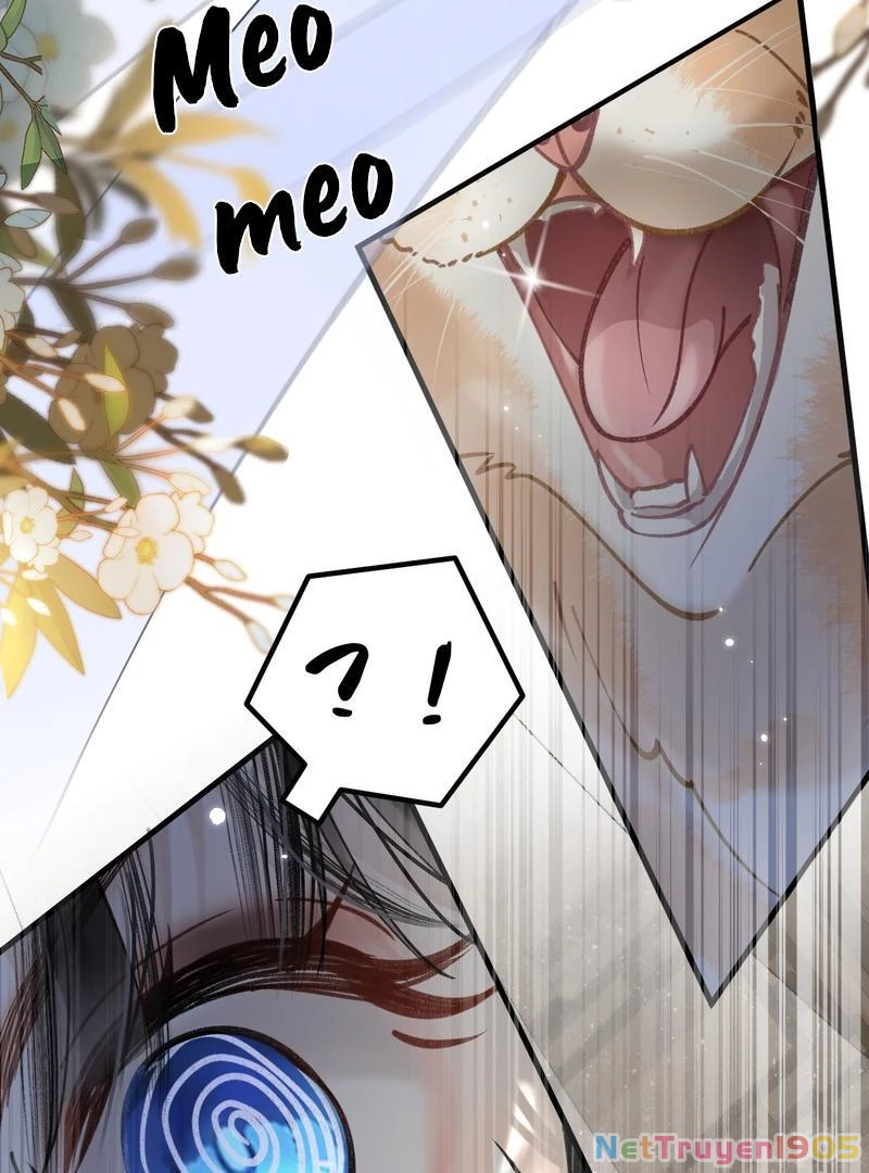 Đông Hải Tìm Mỹ Nhân Chapter 46 - Trang 41
