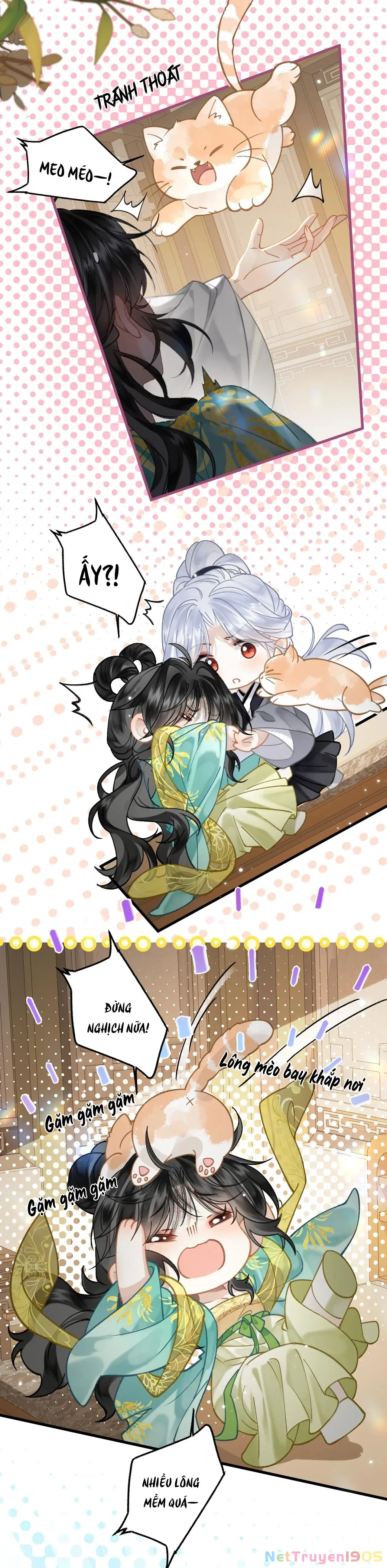 Đông Hải Tìm Mỹ Nhân Chapter 47 - Trang 5