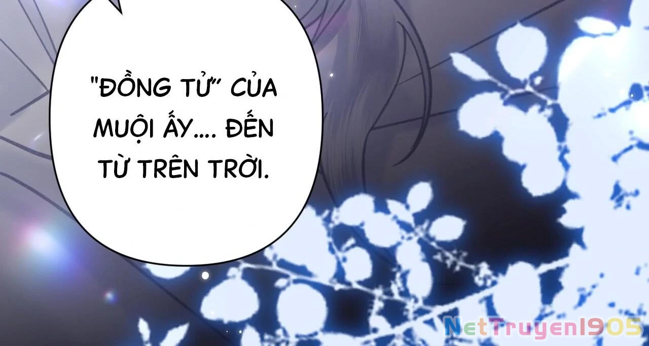 Đông Hải Tìm Mỹ Nhân Chapter 48 - Trang 19