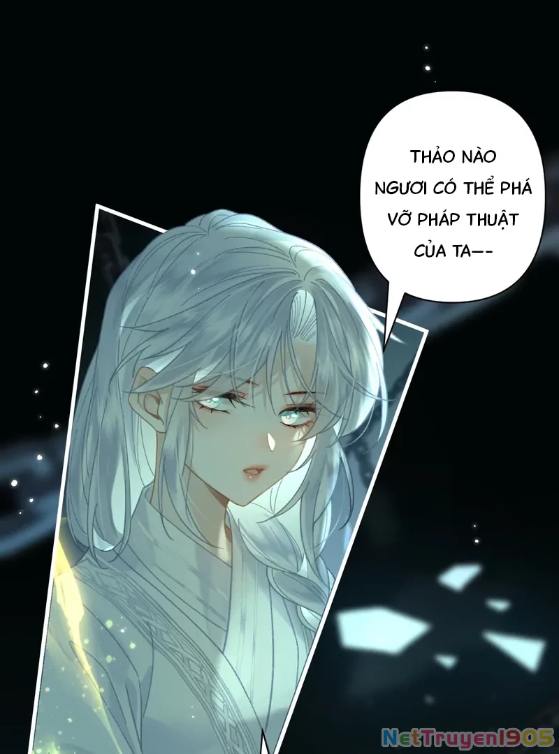 Đông Hải Tìm Mỹ Nhân Chapter 49 - Trang 11