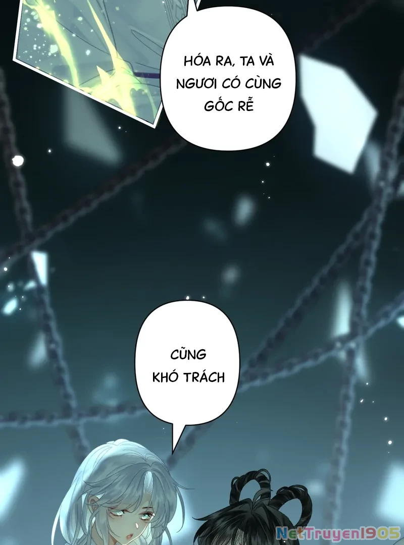 Đông Hải Tìm Mỹ Nhân Chapter 49 - Trang 12