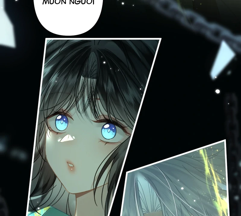 Đông Hải Tìm Mỹ Nhân Chapter 49 - Trang 14