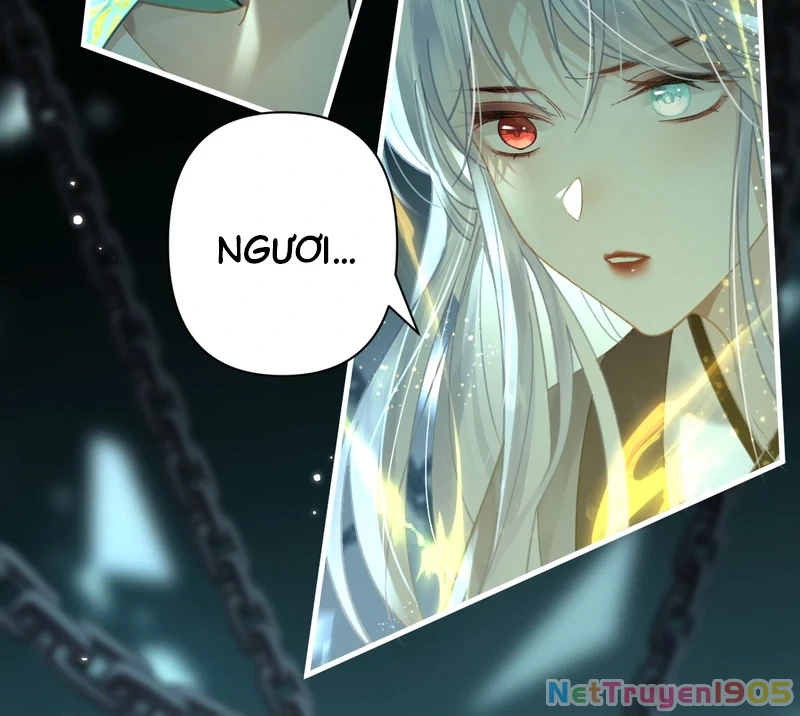 Đông Hải Tìm Mỹ Nhân Chapter 49 - Trang 15