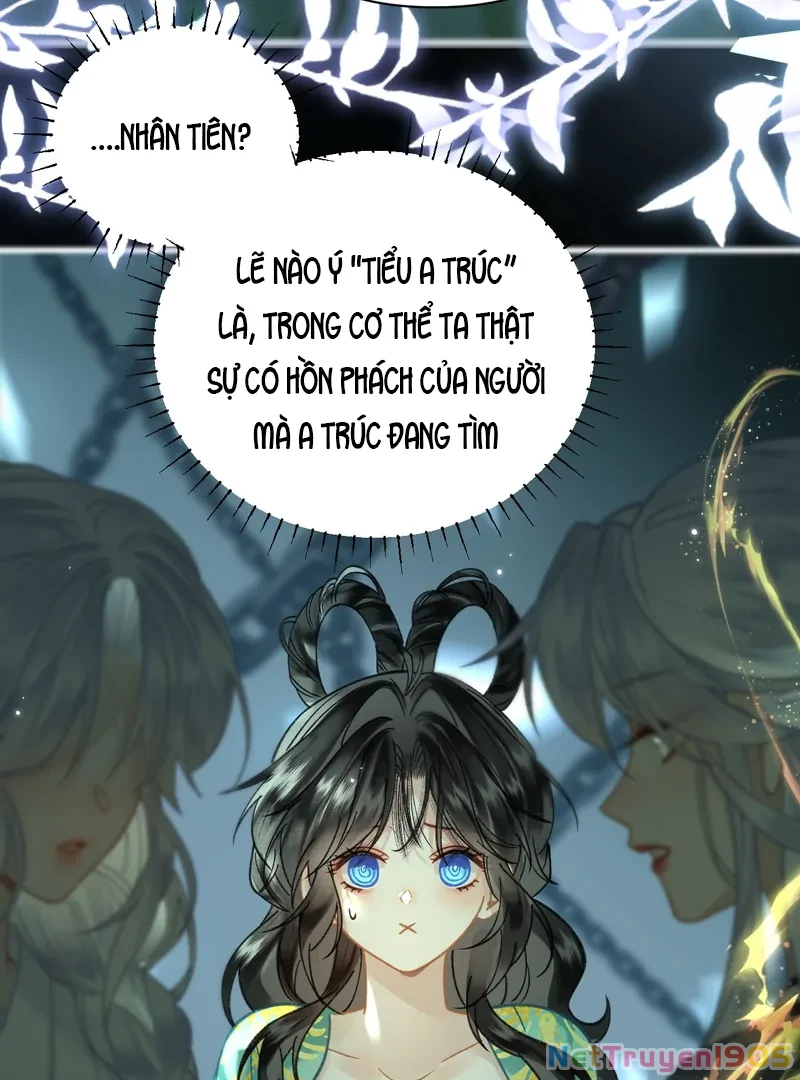 Đông Hải Tìm Mỹ Nhân Chapter 49 - Trang 29