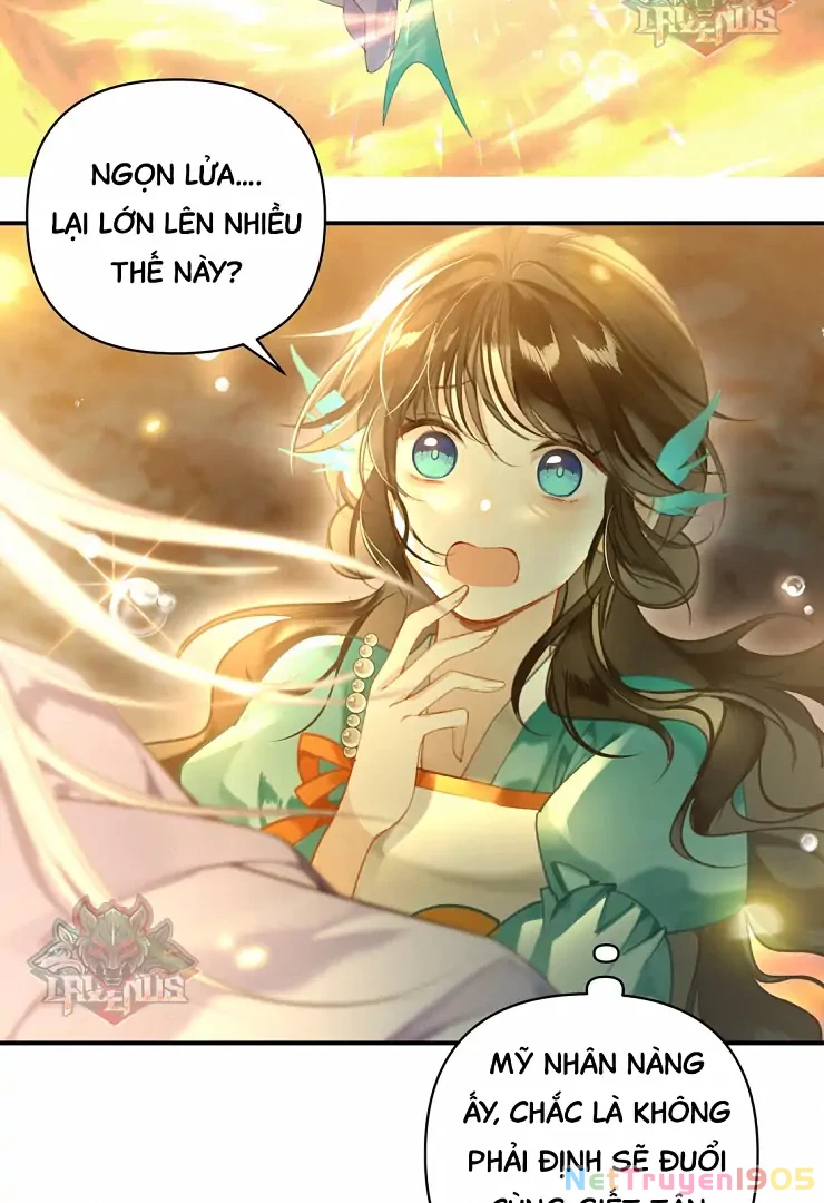 Đông Hải Tìm Mỹ Nhân Chapter 5 - Trang 14