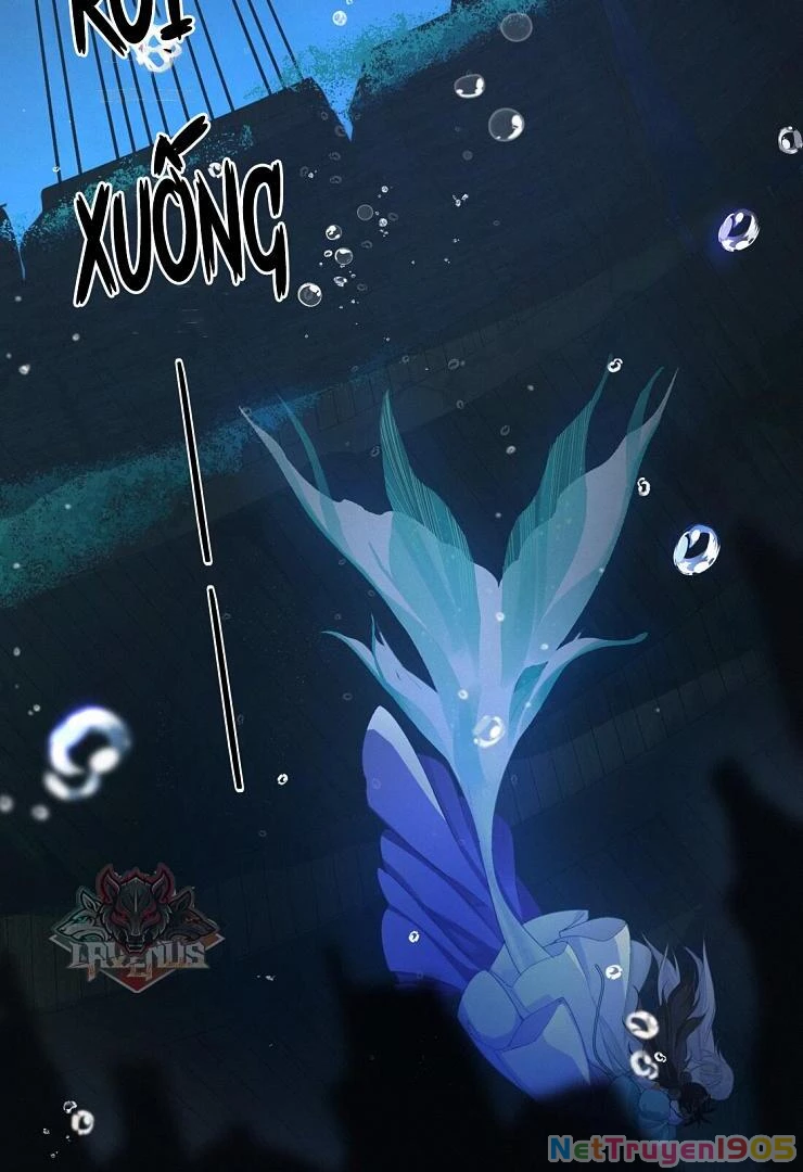 Đông Hải Tìm Mỹ Nhân Chapter 5 - Trang 31