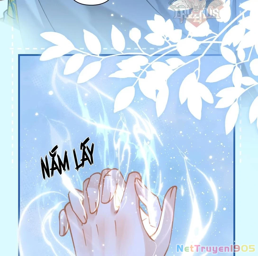 Đông Hải Tìm Mỹ Nhân Chapter 51 - Trang 11