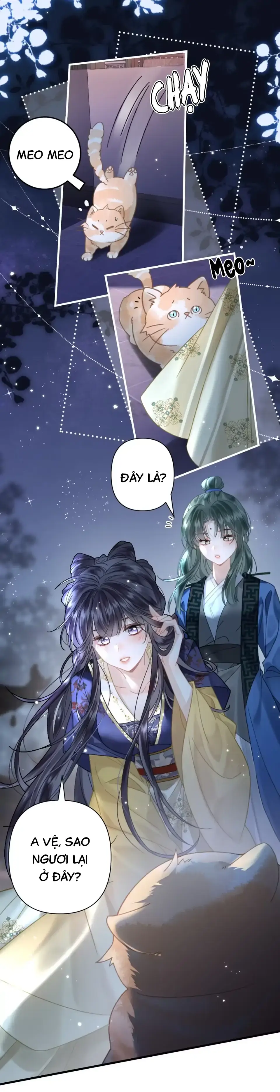 Đông Hải Tìm Mỹ Nhân Chapter 52 - Trang 11