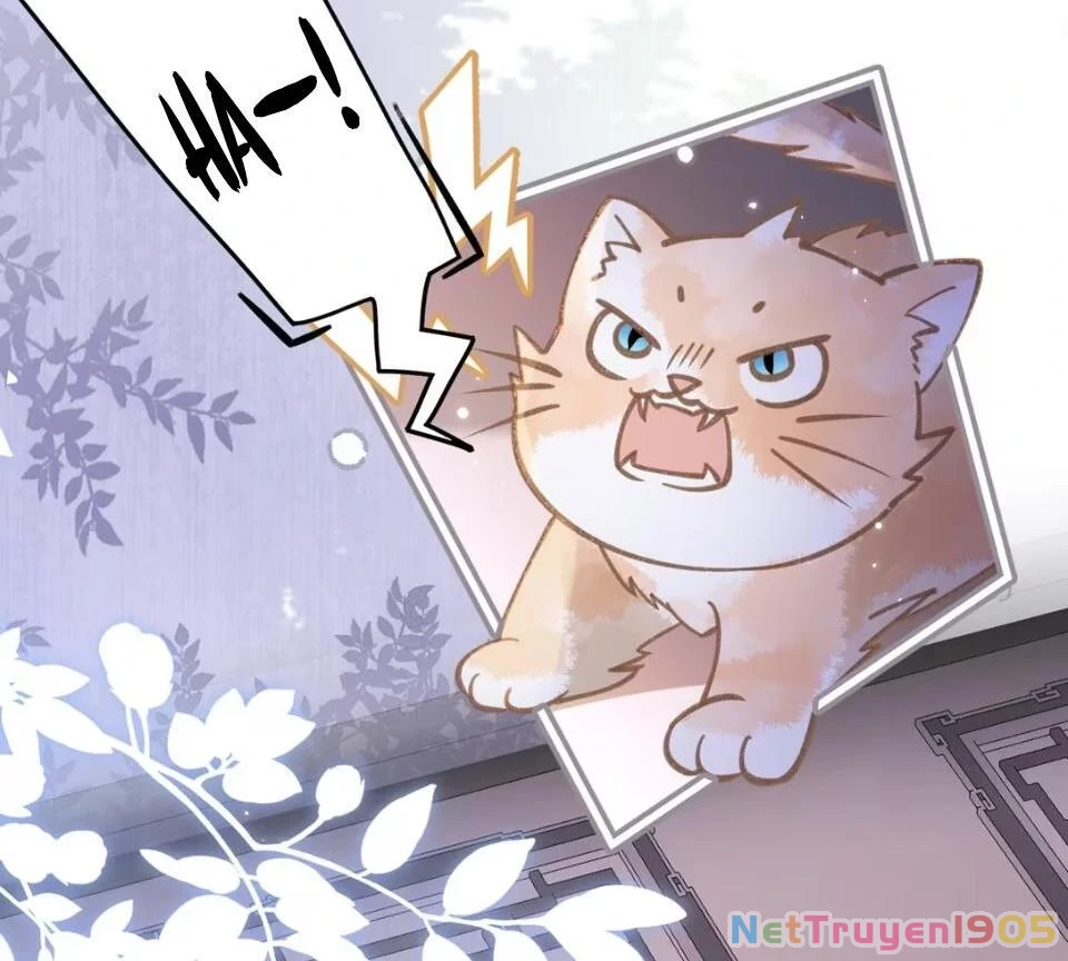 Đông Hải Tìm Mỹ Nhân Chapter 52 - Trang 17