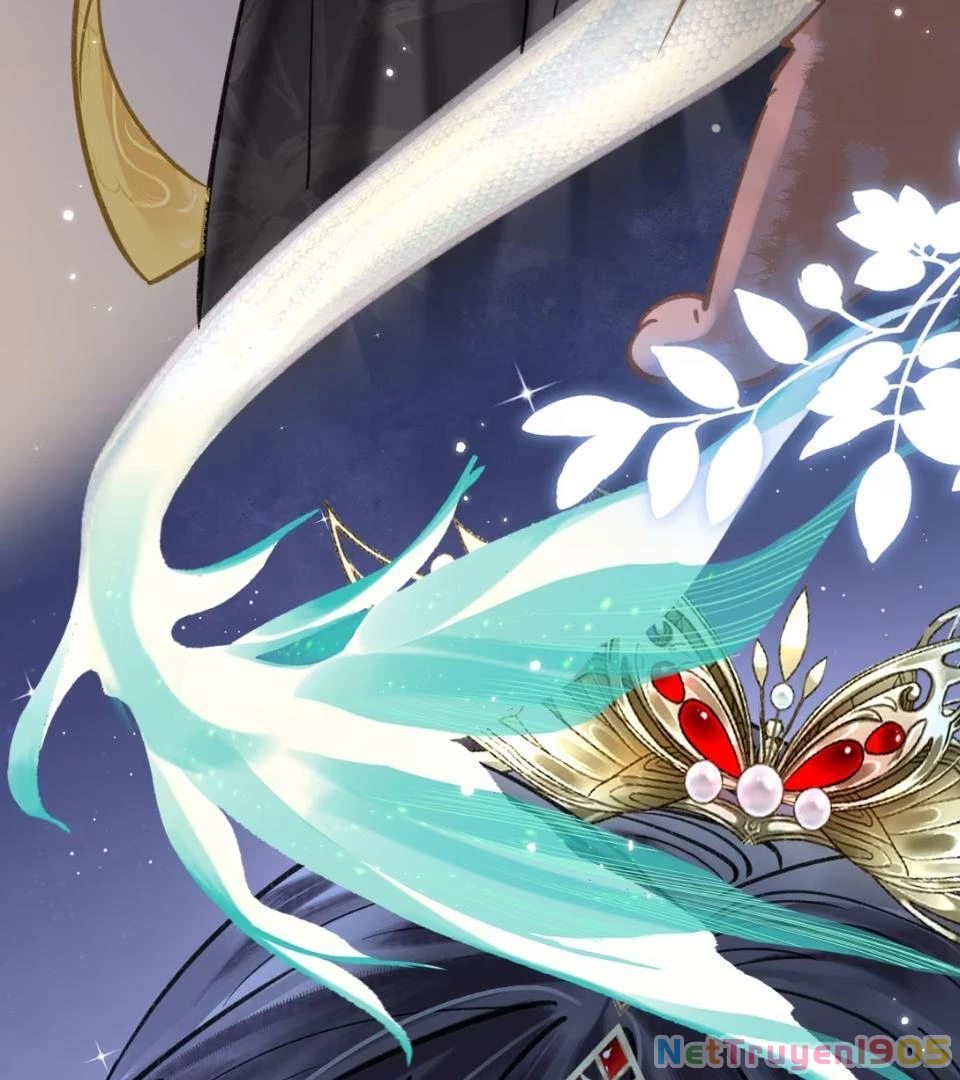 Đông Hải Tìm Mỹ Nhân Chapter 52 - Trang 20
