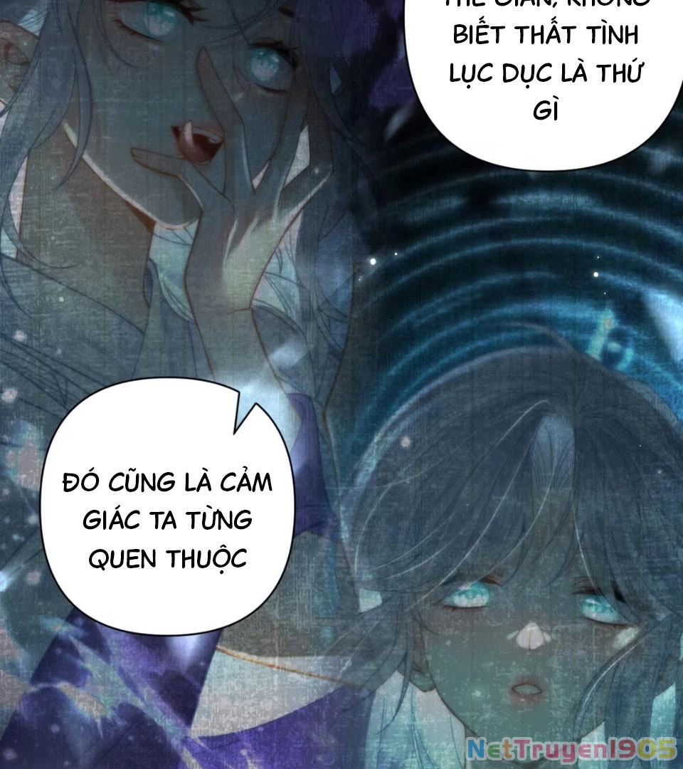 Đông Hải Tìm Mỹ Nhân Chapter 52 - Trang 49