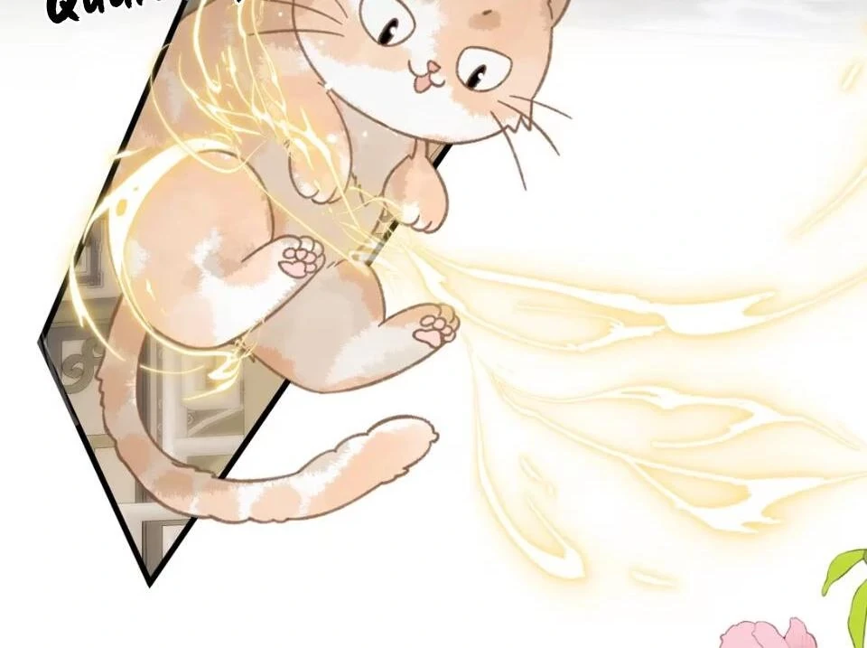 Đông Hải Tìm Mỹ Nhân Chapter 52 - Trang 8