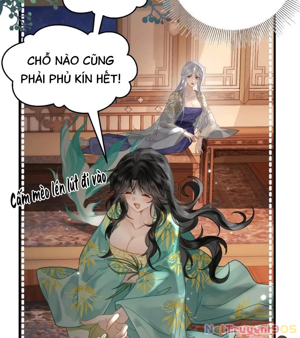 Đông Hải Tìm Mỹ Nhân Chapter 53 - Trang 22