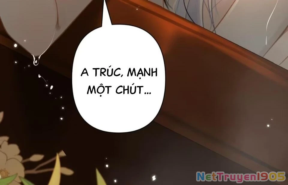 Đông Hải Tìm Mỹ Nhân Chapter 53 - Trang 32